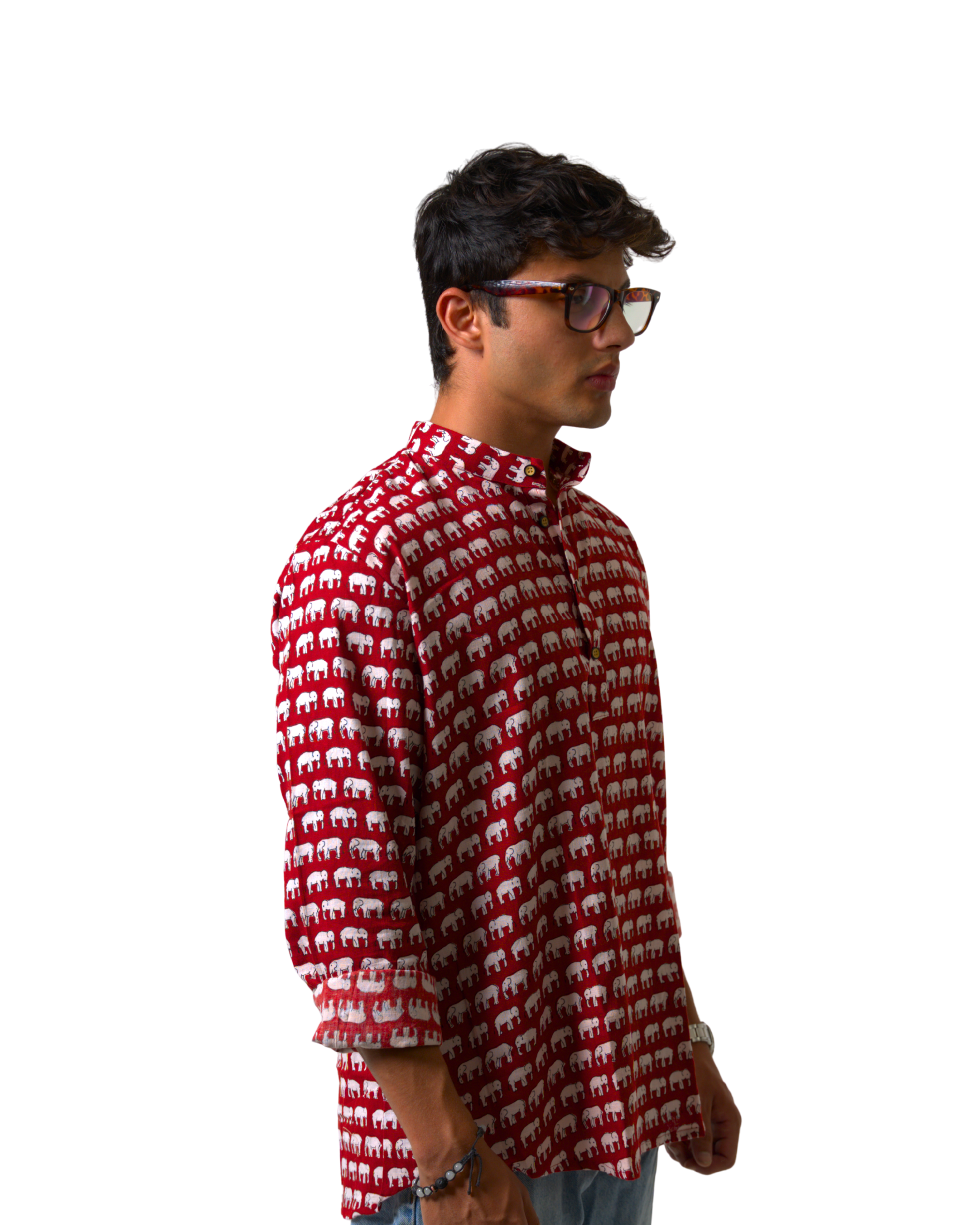 Elephant (Hathi) Jaipur