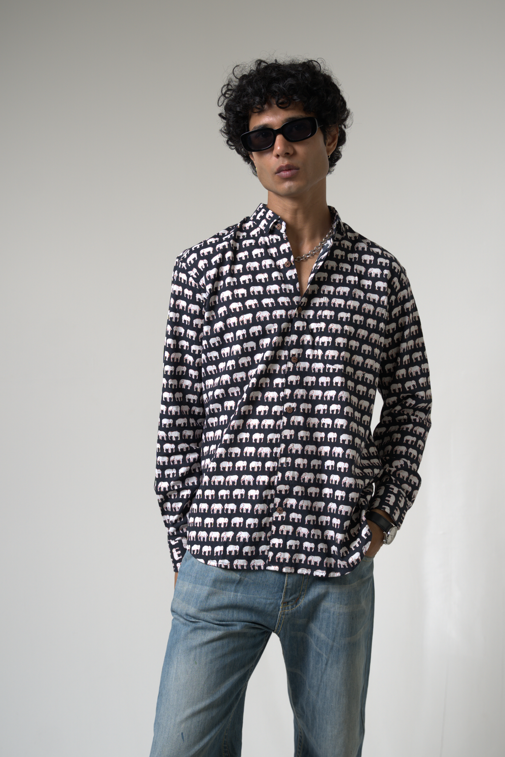 Elephant (Hathi) Jaipur