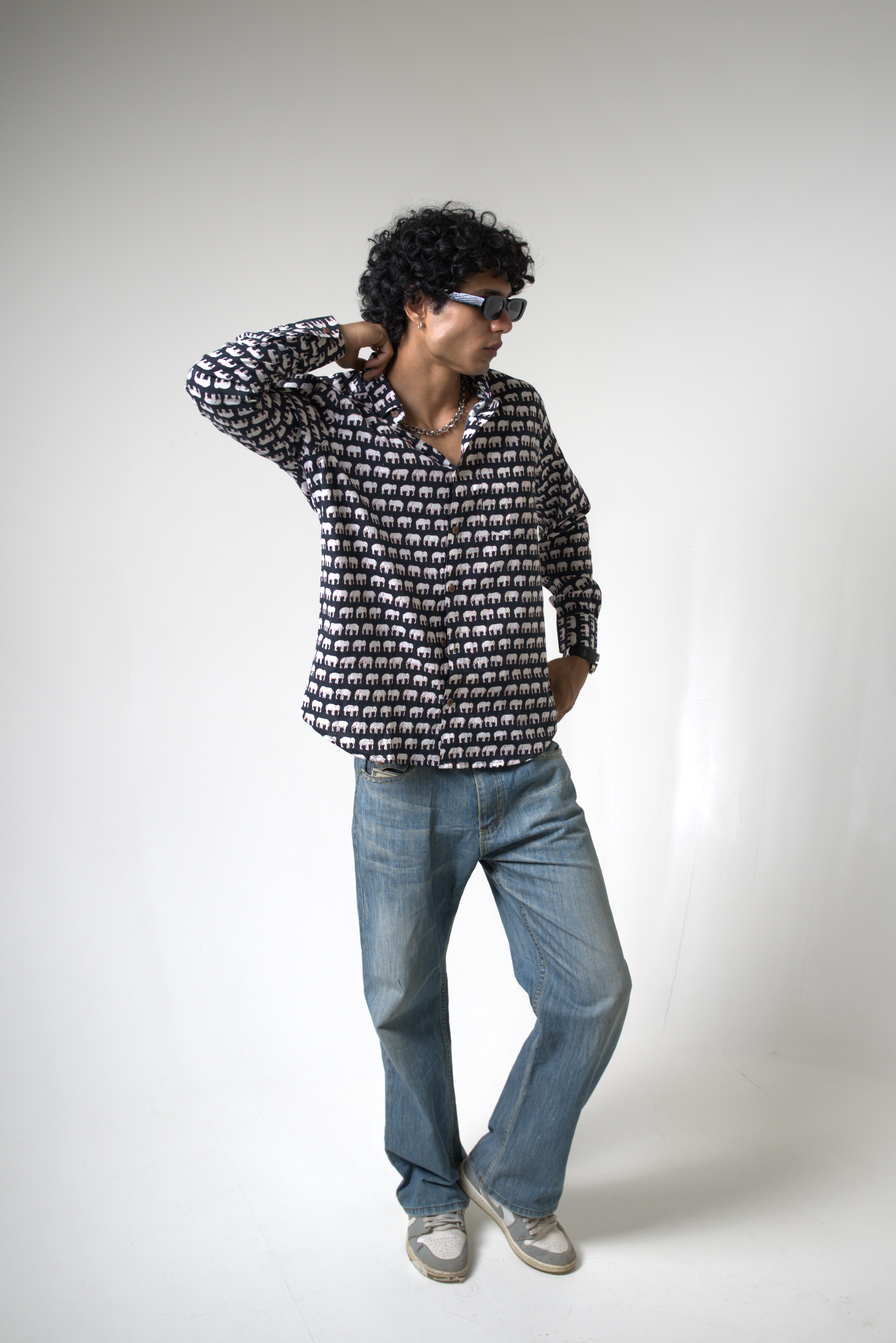 Elephant (Hathi) Jaipur