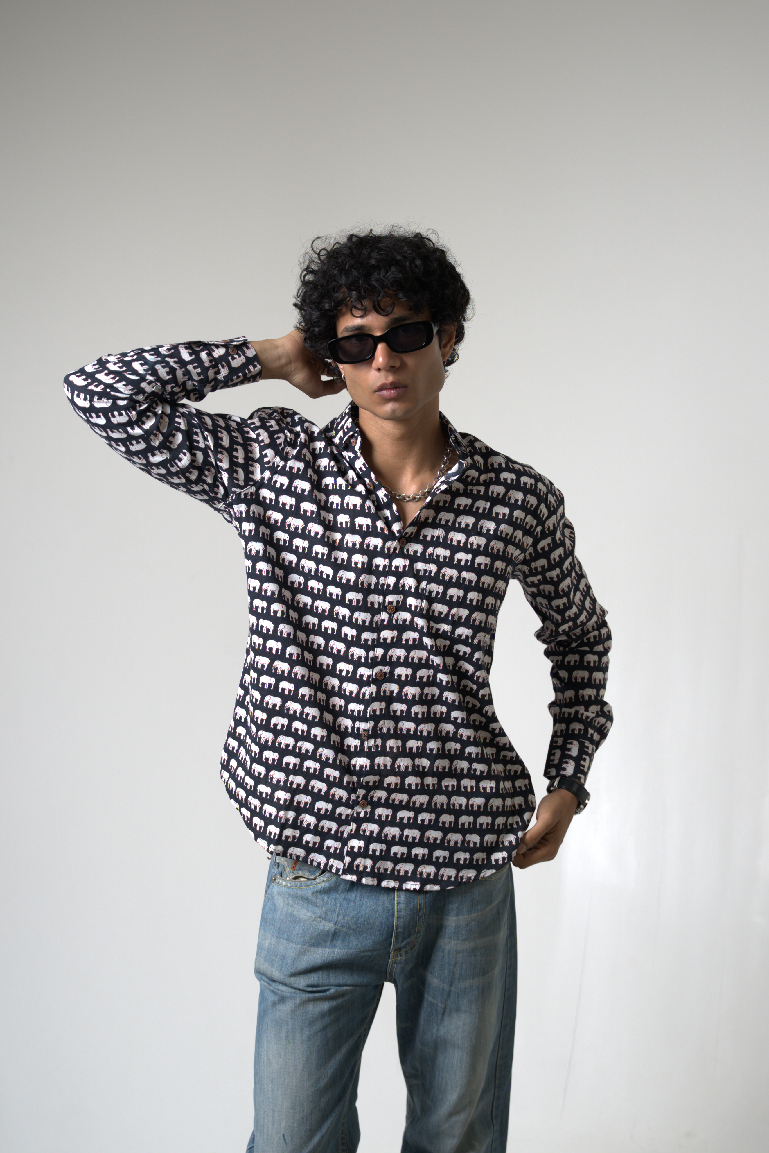 Elephant (Hathi) Jaipur