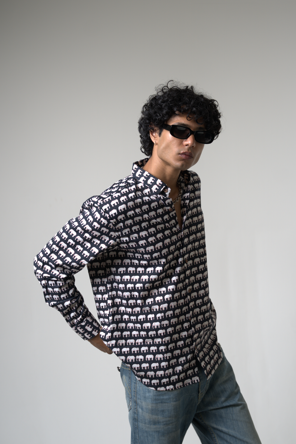 Elephant (Hathi) Jaipur