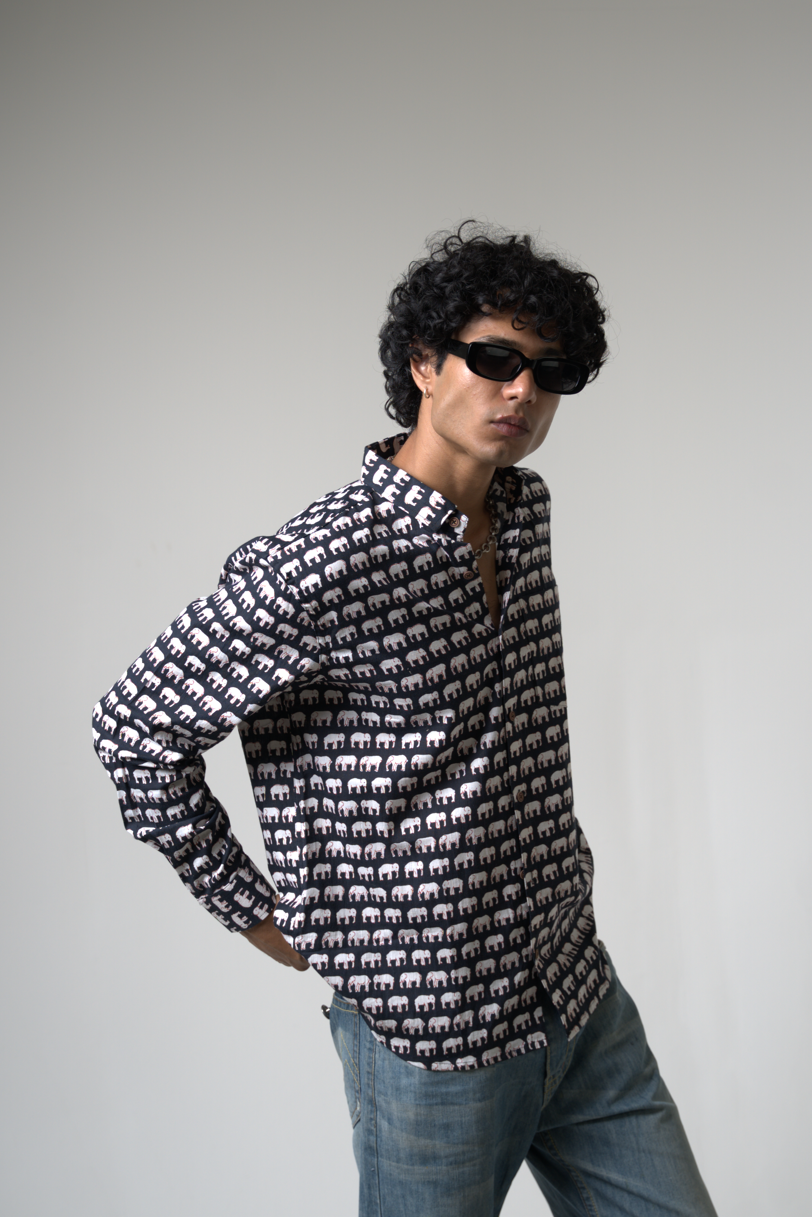 Elephant (Hathi) Jaipur