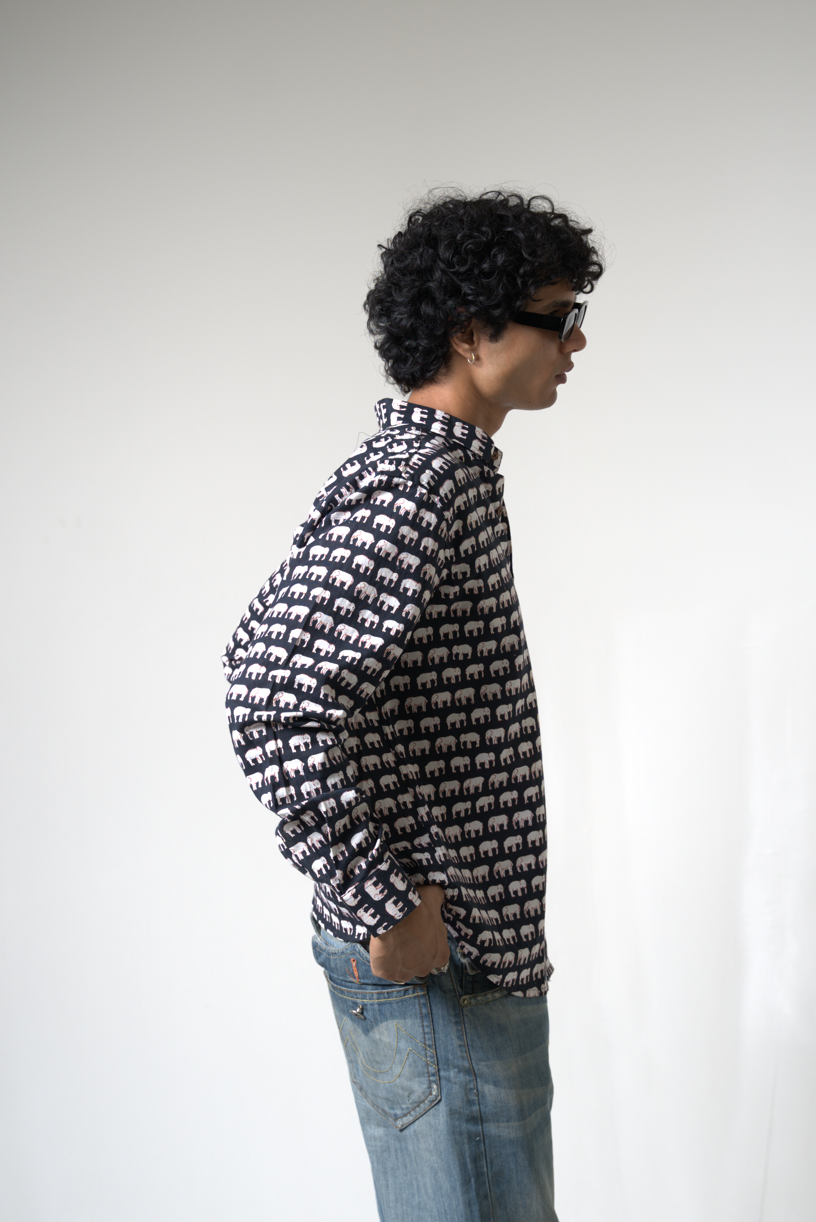 Elephant (Hathi) Jaipur