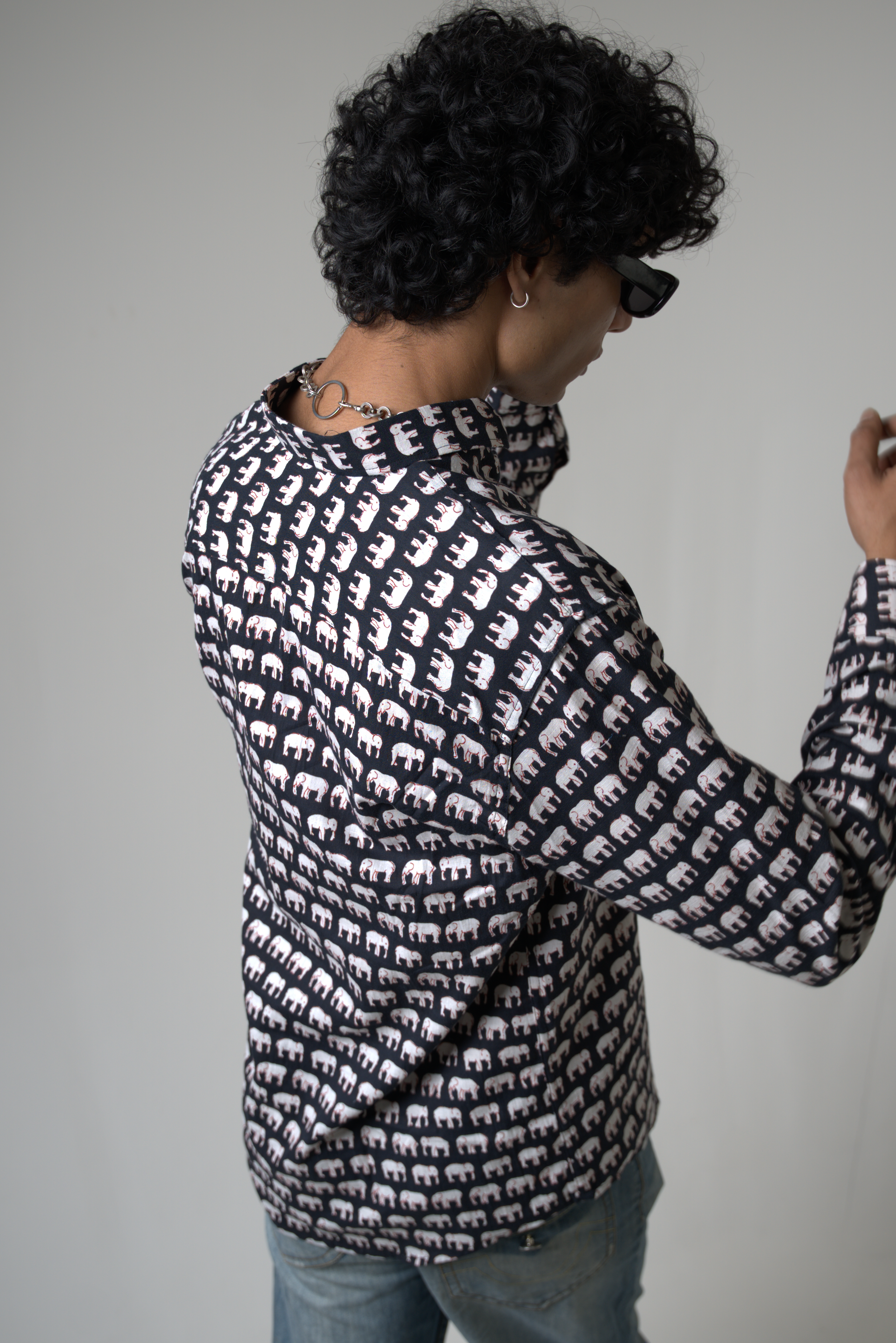 Elephant (Hathi) Jaipur