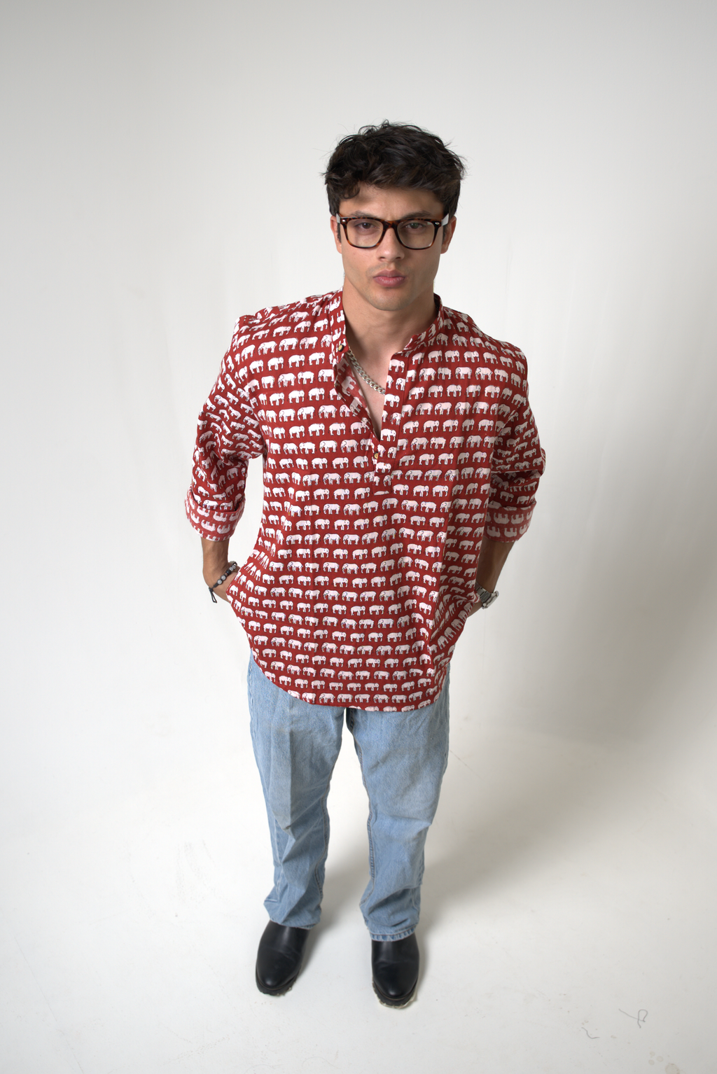 Elephant (Hathi) Jaipur