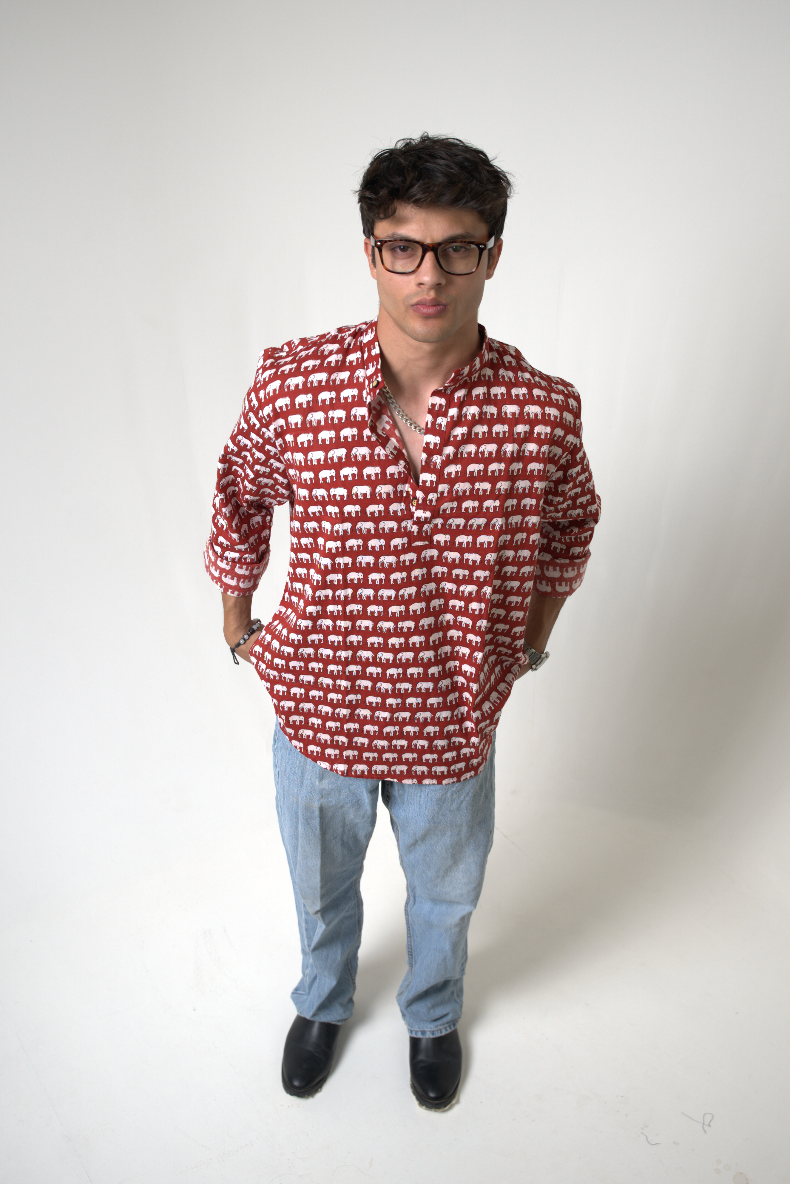 Elephant (Hathi) Jaipur