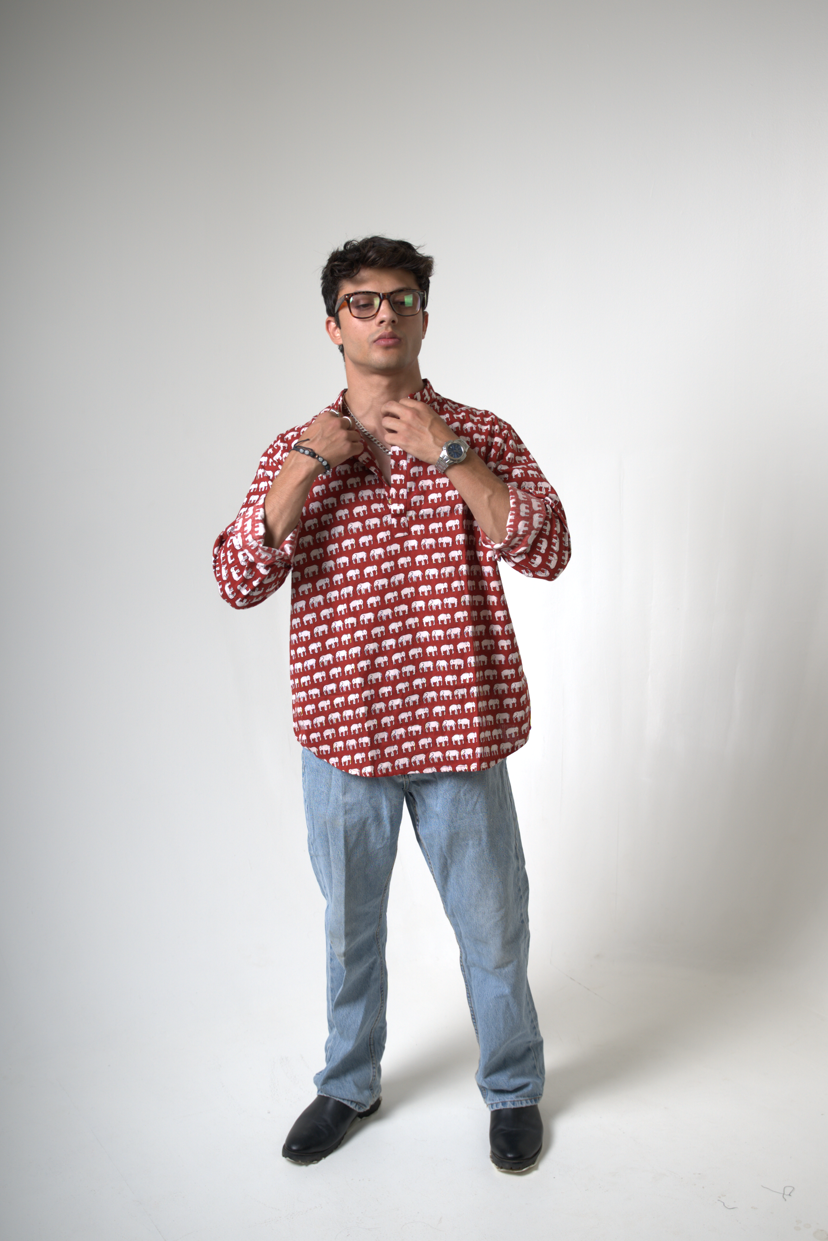 Elephant (Hathi) Jaipur