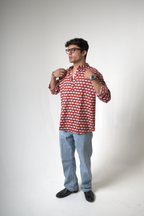 Elephant (Hathi) Jaipur