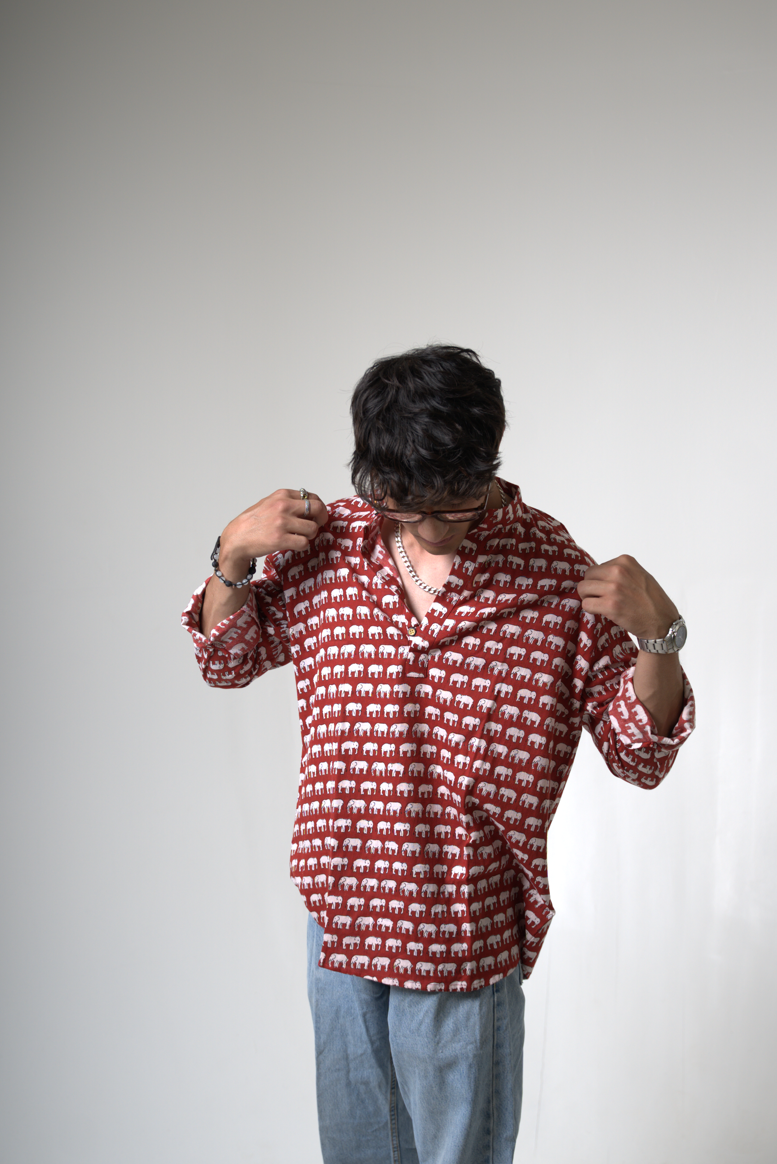 Elephant (Hathi) Jaipur