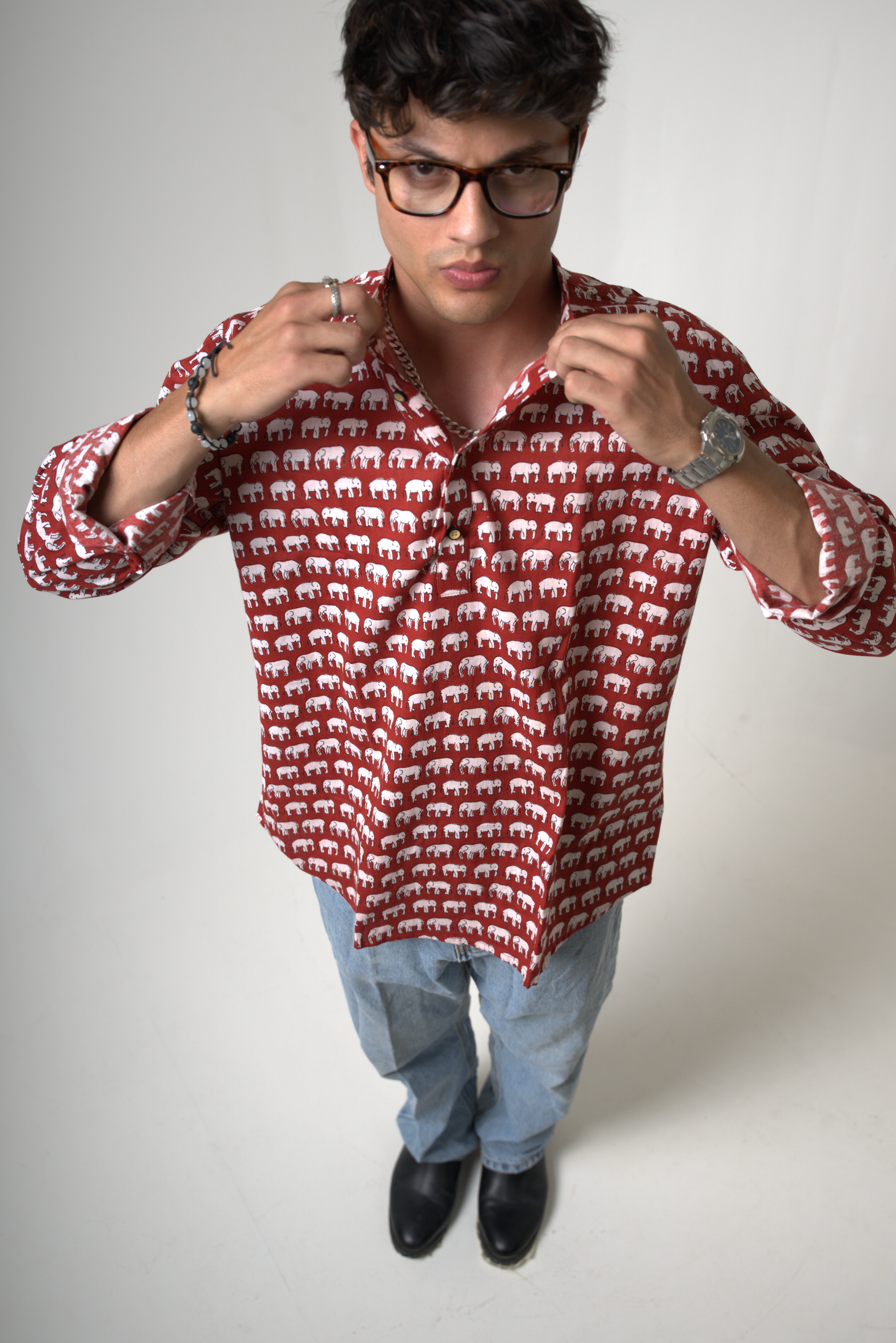 Elephant (Hathi) Jaipur