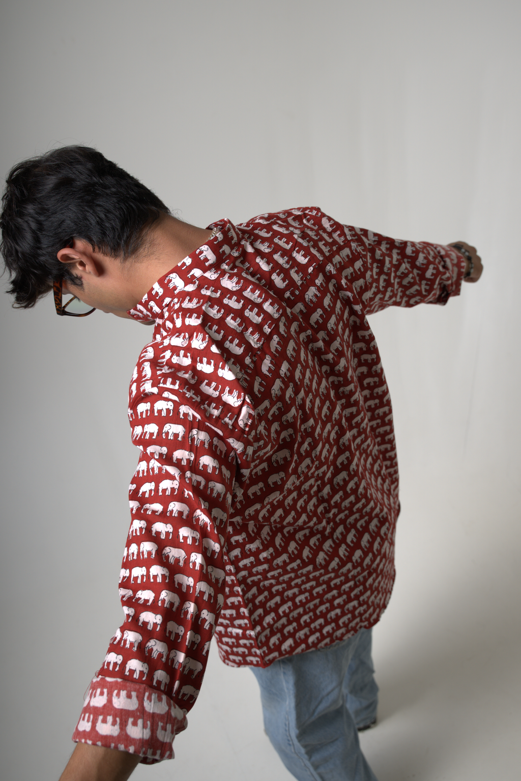 Elephant (Hathi) Jaipur