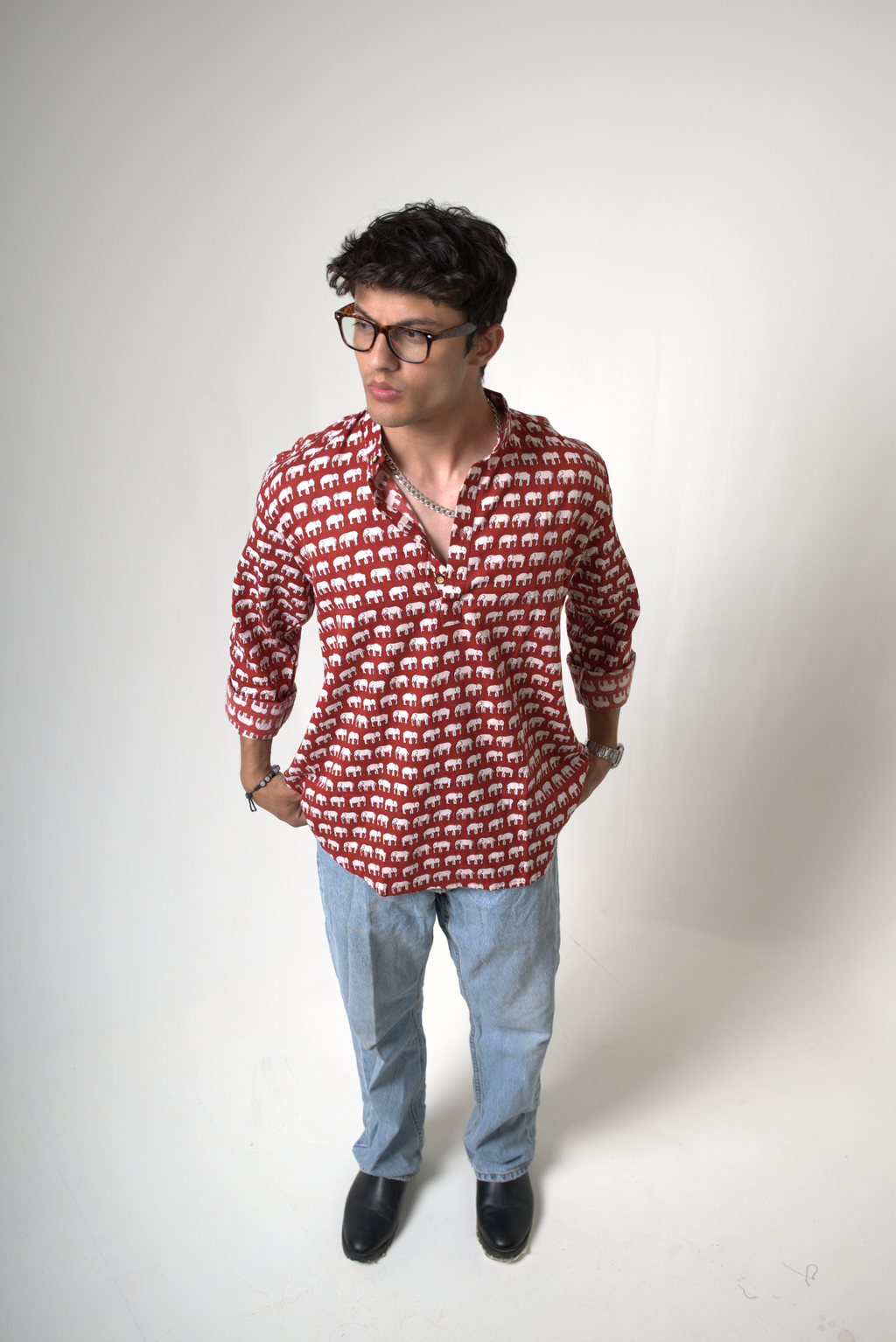 Elephant (Hathi) Jaipur dripkaar.com