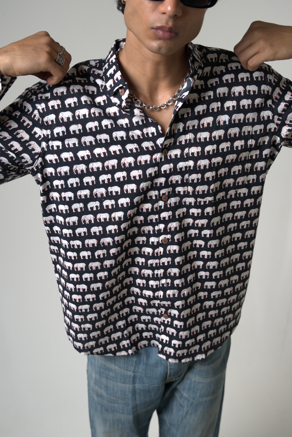 Elephant (Hathi) Jaipur dripkaar.com