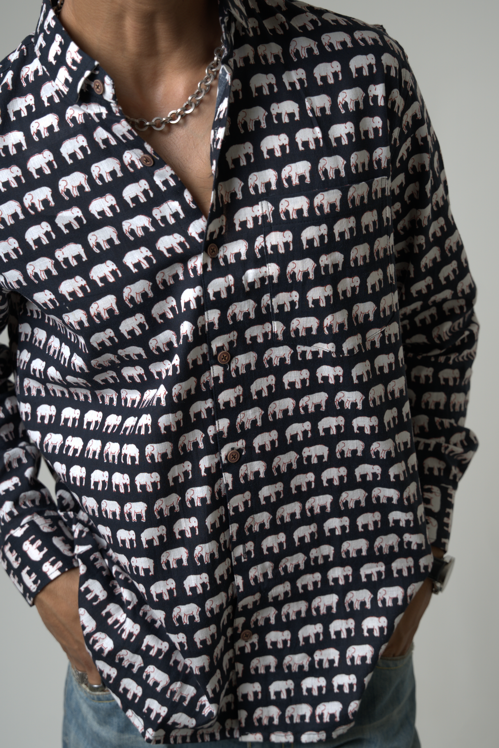 Elephant (Hathi) Jaipur dripkaar.com