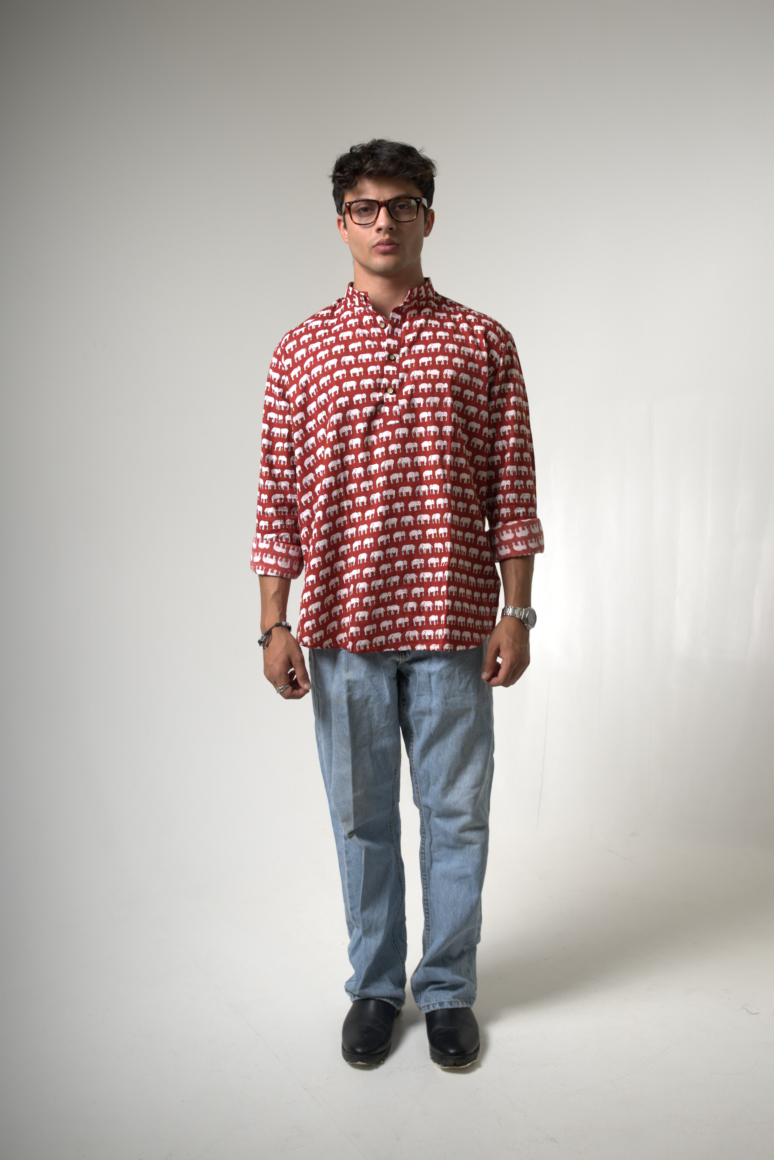 Elephant (Hathi) Jaipur dripkaar.com