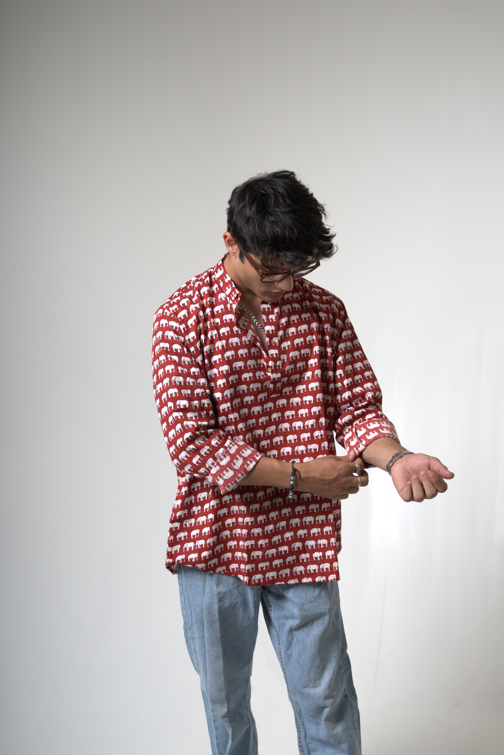 Elephant (Hathi) Jaipur dripkaar.com