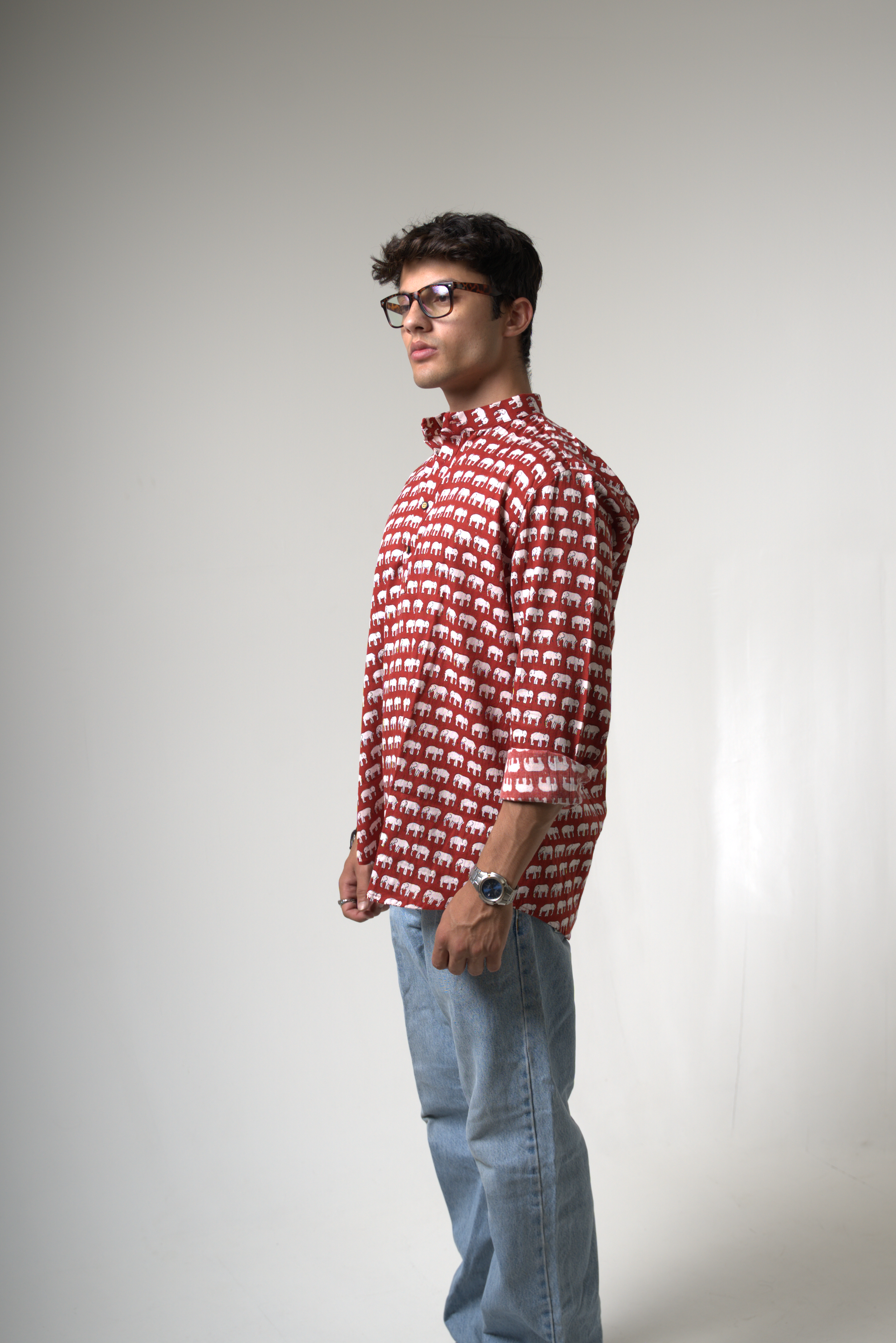 Elephant (Hathi) Jaipur dripkaar.com