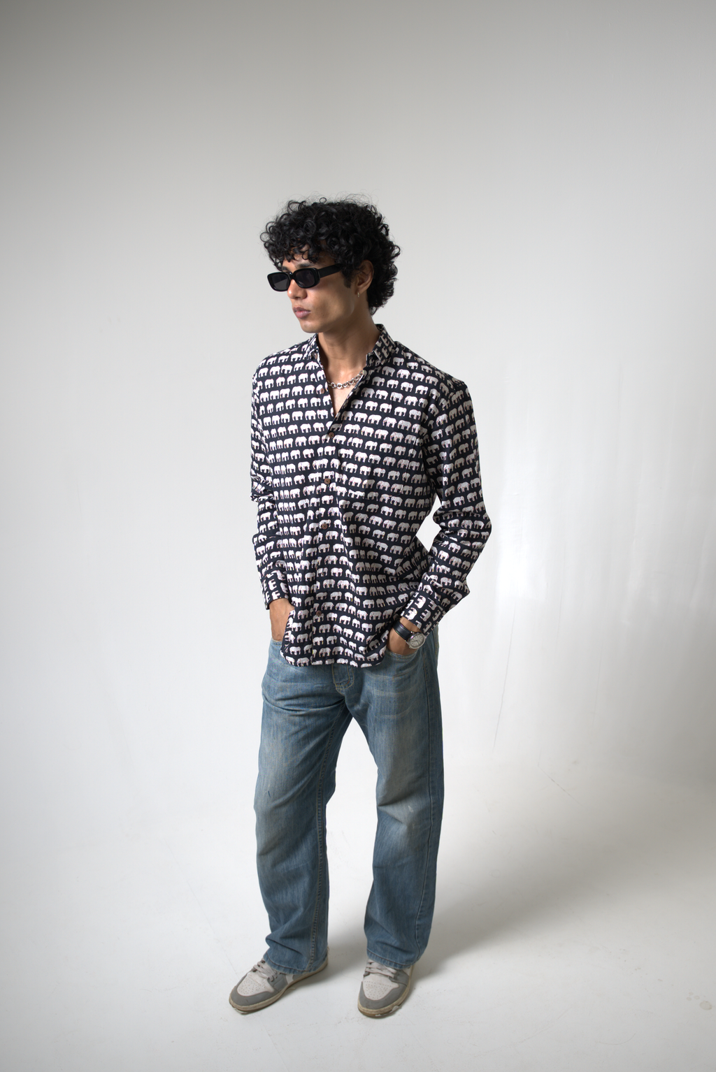 Elephant (Hathi) Jaipur dripkaar.com