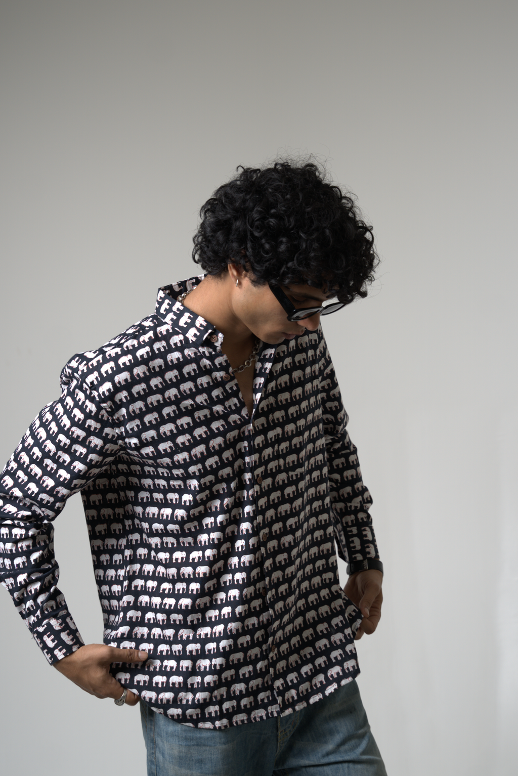 Elephant (Hathi) Jaipur dripkaar.com