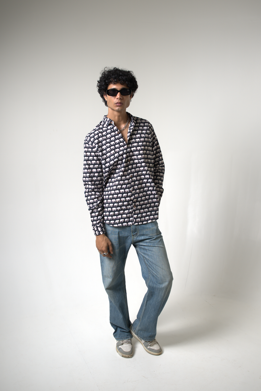 Elephant (Hathi) Jaipur dripkaar.com