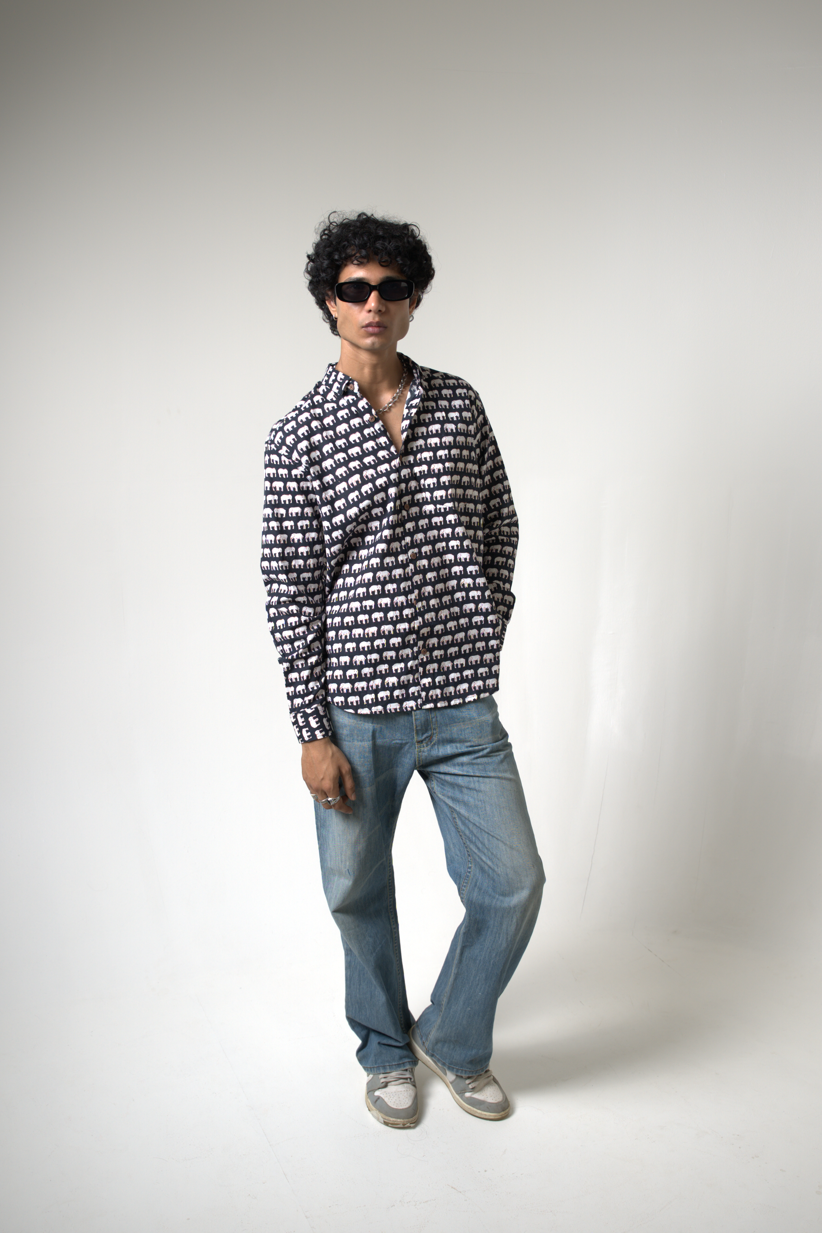 Elephant (Hathi) Jaipur dripkaar.com