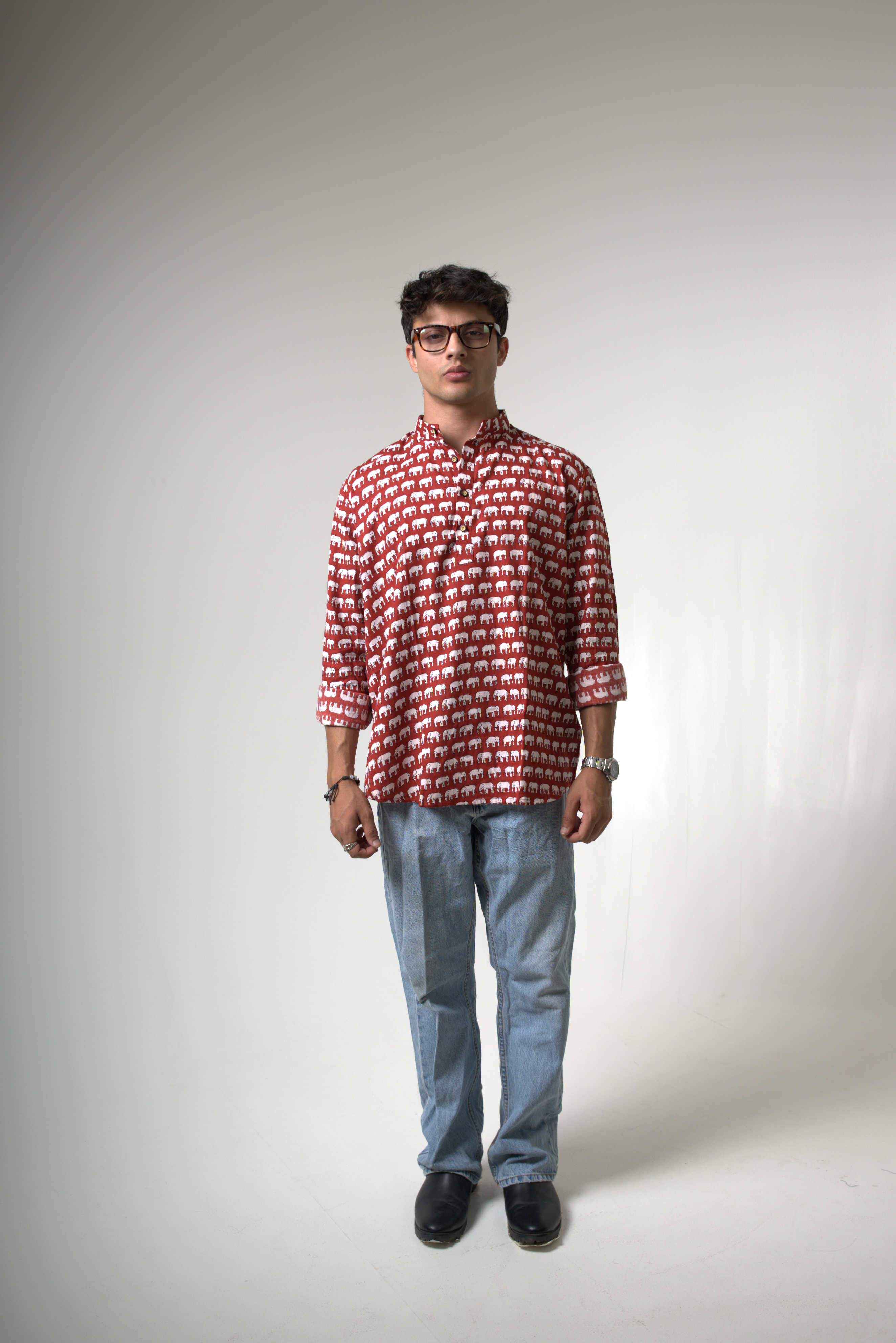 Elephant (Hathi) Jaipur dripkaar.com