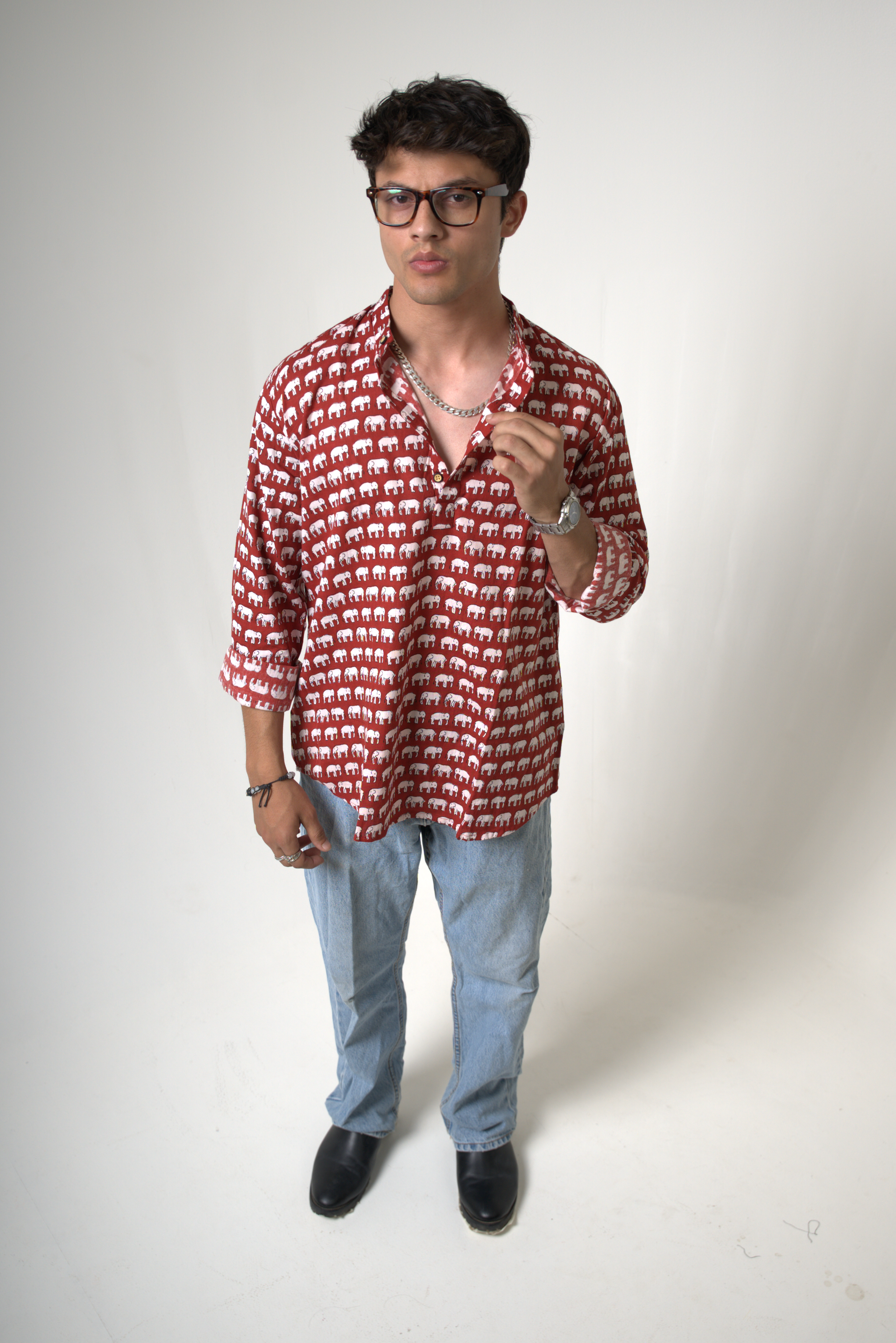 Elephant (Hathi) Jaipur dripkaar.com