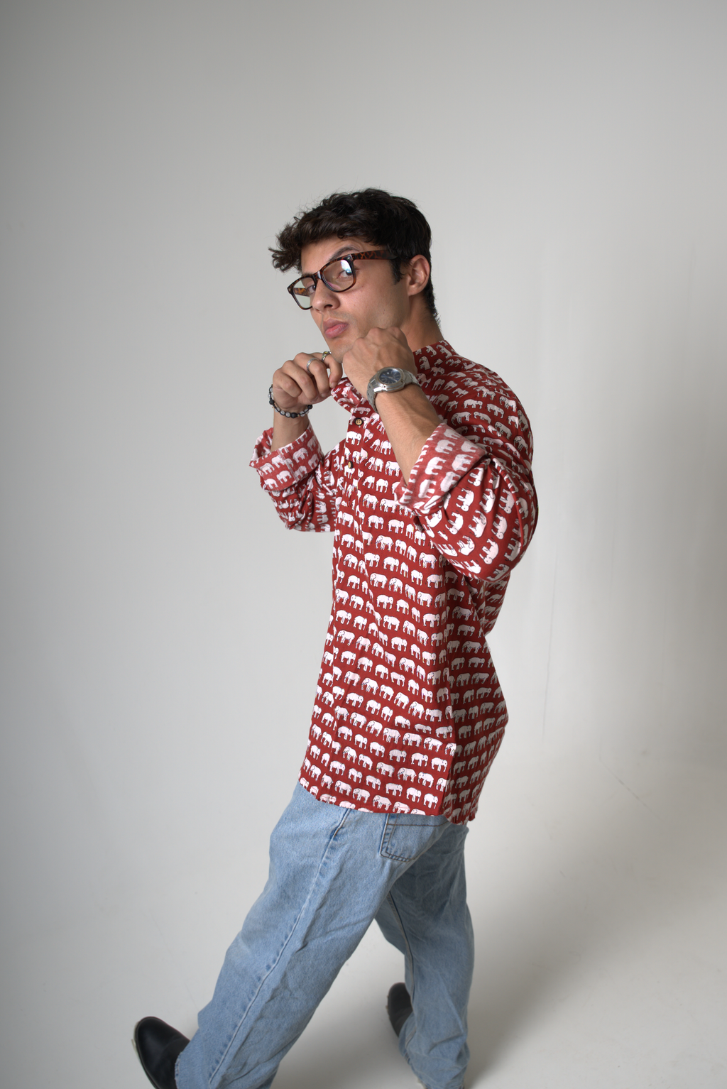 Elephant (Hathi) Jaipur dripkaar.com