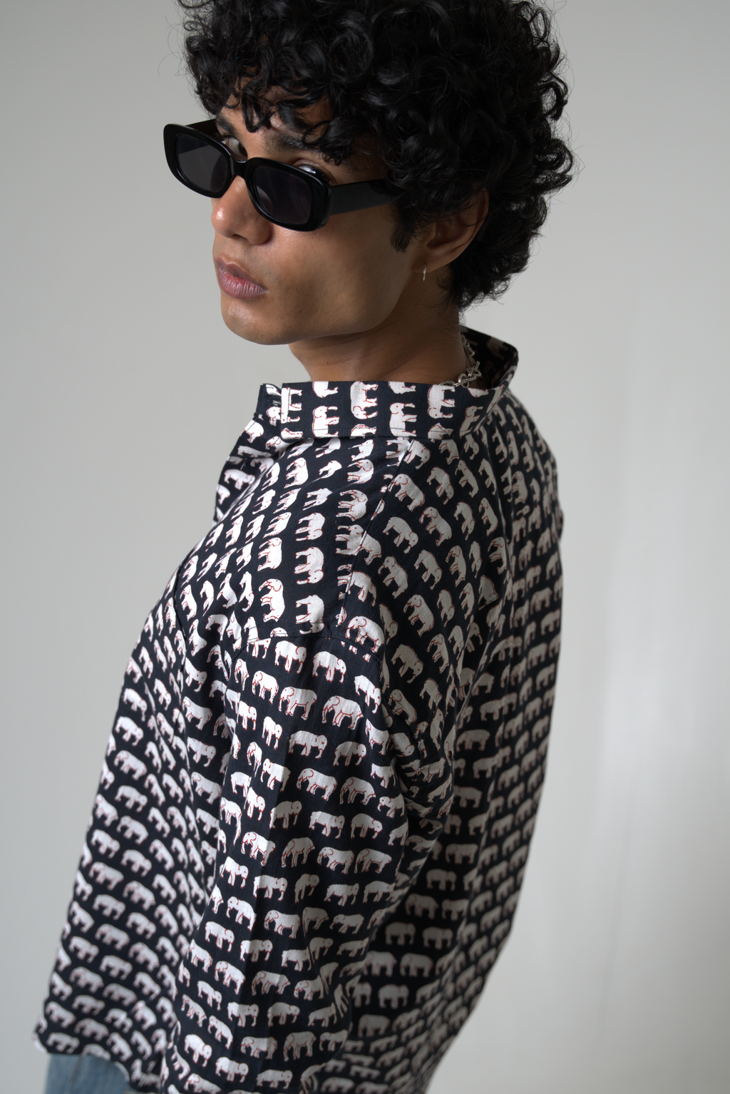 Elephant (Hathi) Jaipur dripkaar.com