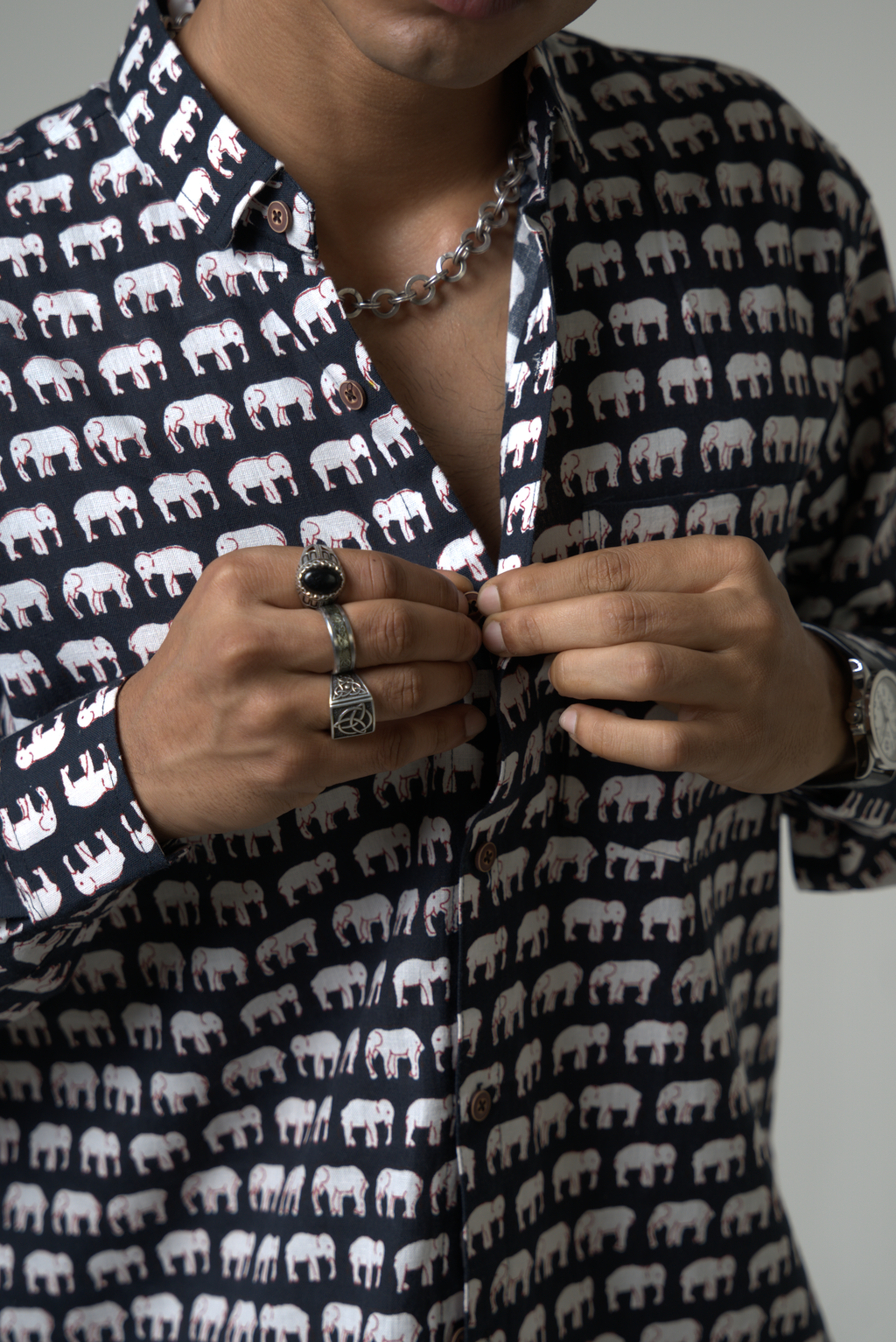 Elephant (Hathi) Jaipur dripkaar.com